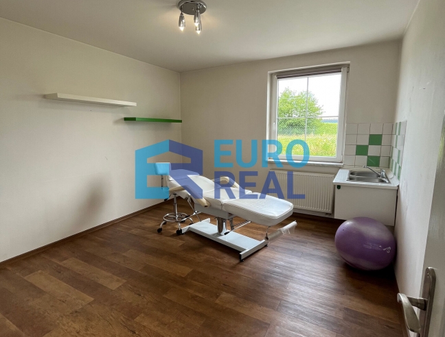 Samostatný rodinný dům s částí pro podnikání, se zahradou a bazénem, pozemek 1697 m²
