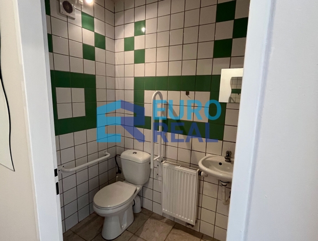 Rodinný dům 6+kk 245 m², se zahradou a bazénem, pozemek 1697, m²