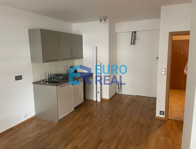 pronájem 1+kk Vyšehrad (42 m²)